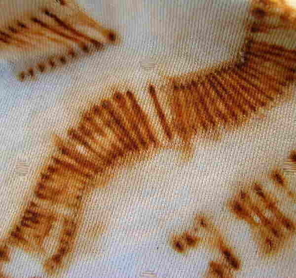 Удаление пятен ржавчины с белой ткани